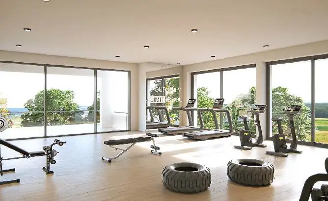 Gymnasium